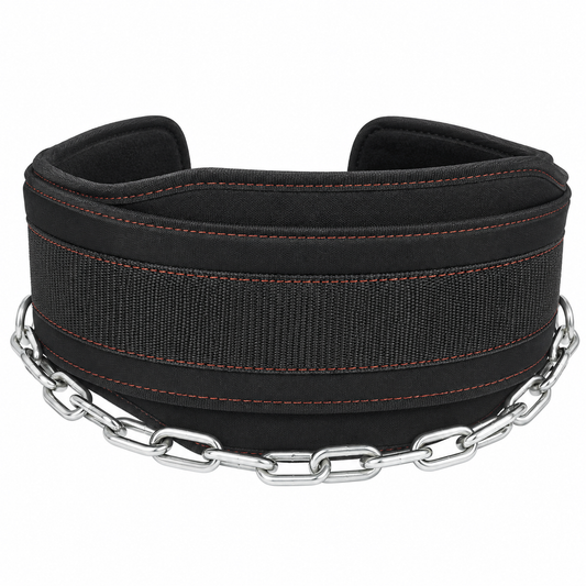 MotionBar weighted dip belt black with chain